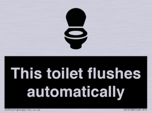 This toilet flushes automatically